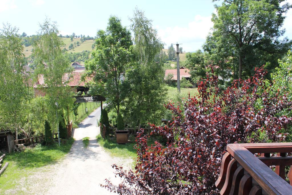 Teo Guesthouse Bran  Dış mekan fotoğraf