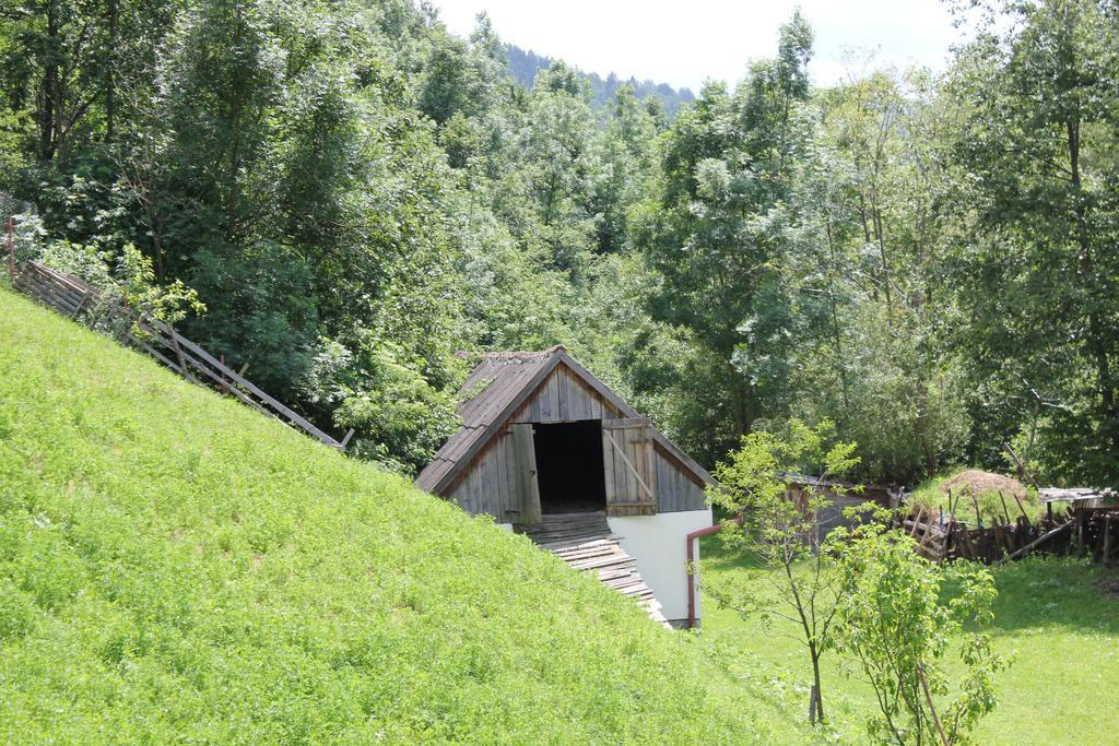 Teo Guesthouse Bran  Dış mekan fotoğraf