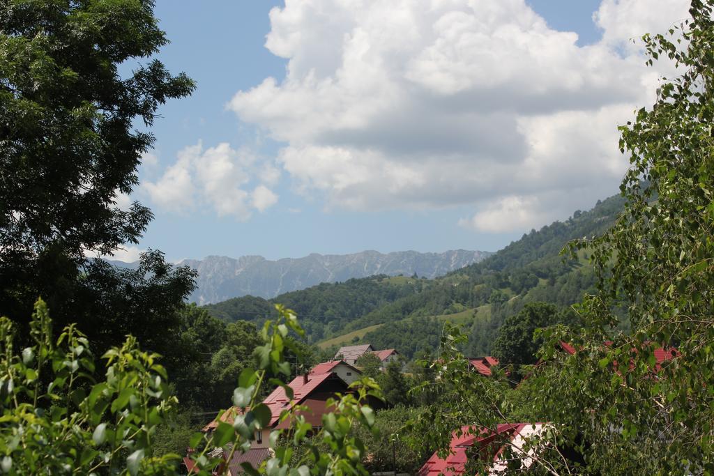 Teo Guesthouse Bran  Dış mekan fotoğraf